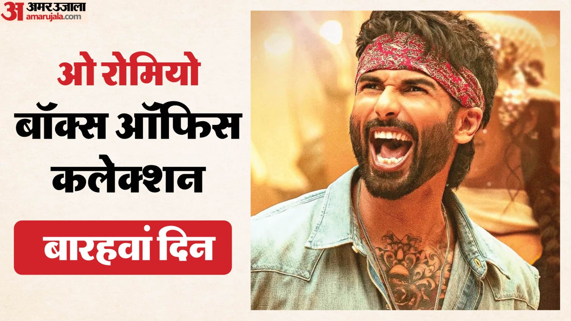 O Romeo Day 12 Collection Starring Shahid Kapoor And Triptii Dimri Tuesday Earning