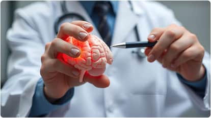 Scientists preserve entire pig brain news chances of reanimation after death know details trending news