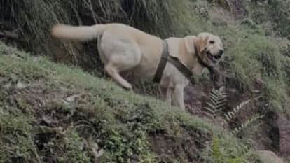 Tyson took the first bullet from the terrorists.