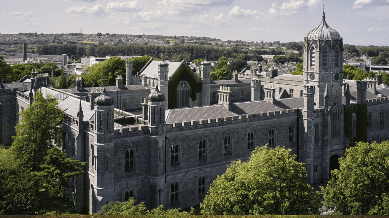 Food Bank Queue in Ireland Sparks Online Backlash Against Indian Students