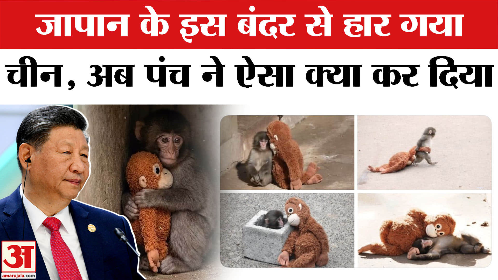 जापान बंदर