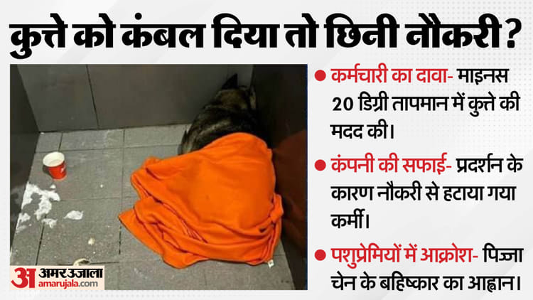 Russia: कुत्ते से प्रेम के चलते गई कर्मचारी की नौकरी? रूस में पिज्जा चेन पर विवाद, कंपनी ने दी ये सफाई