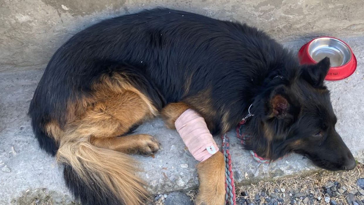 Tyson took the first bullet from the terrorists.