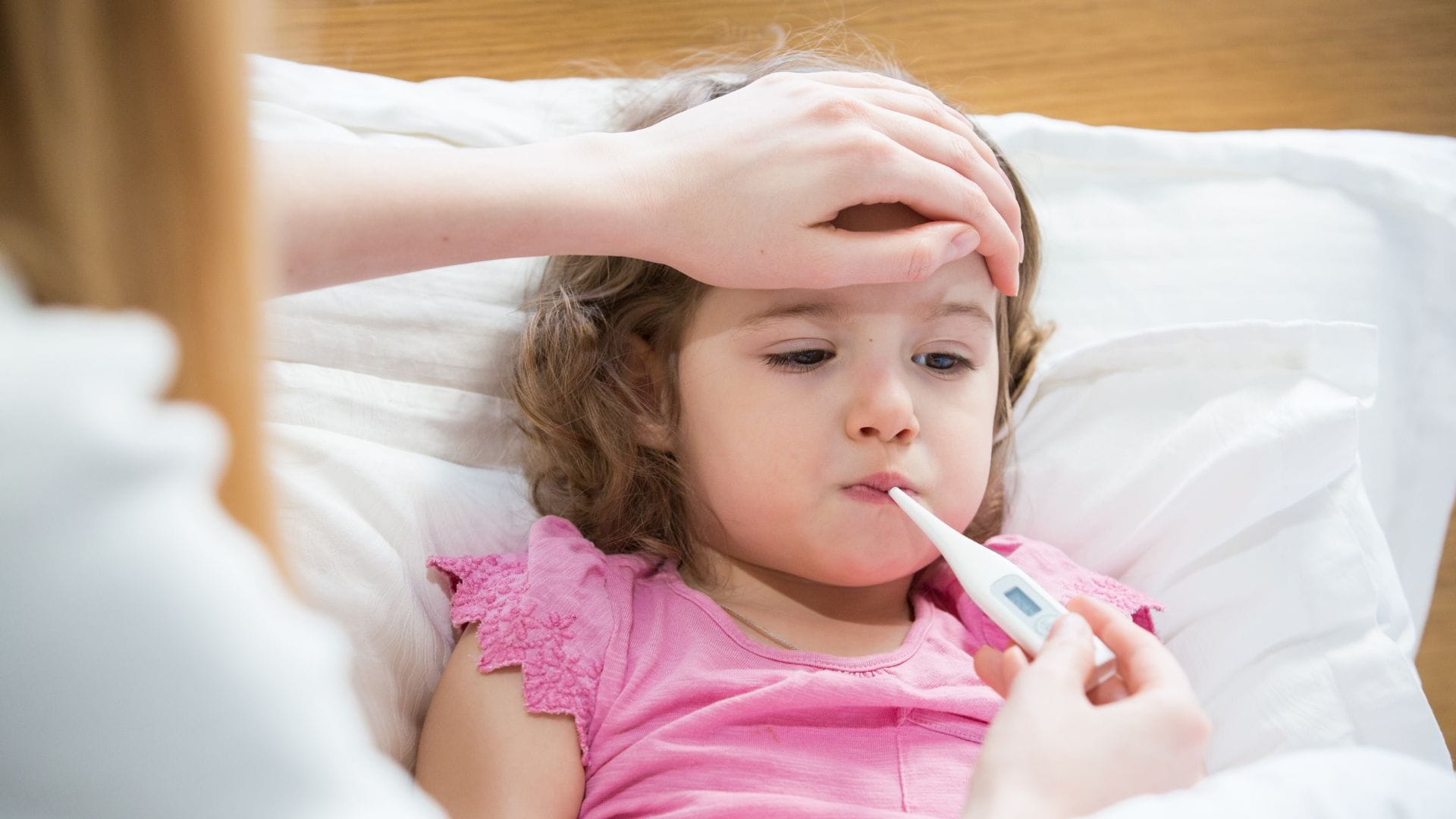 typhoid fever causes and symptoms difference between typhoid and dengue symptoms