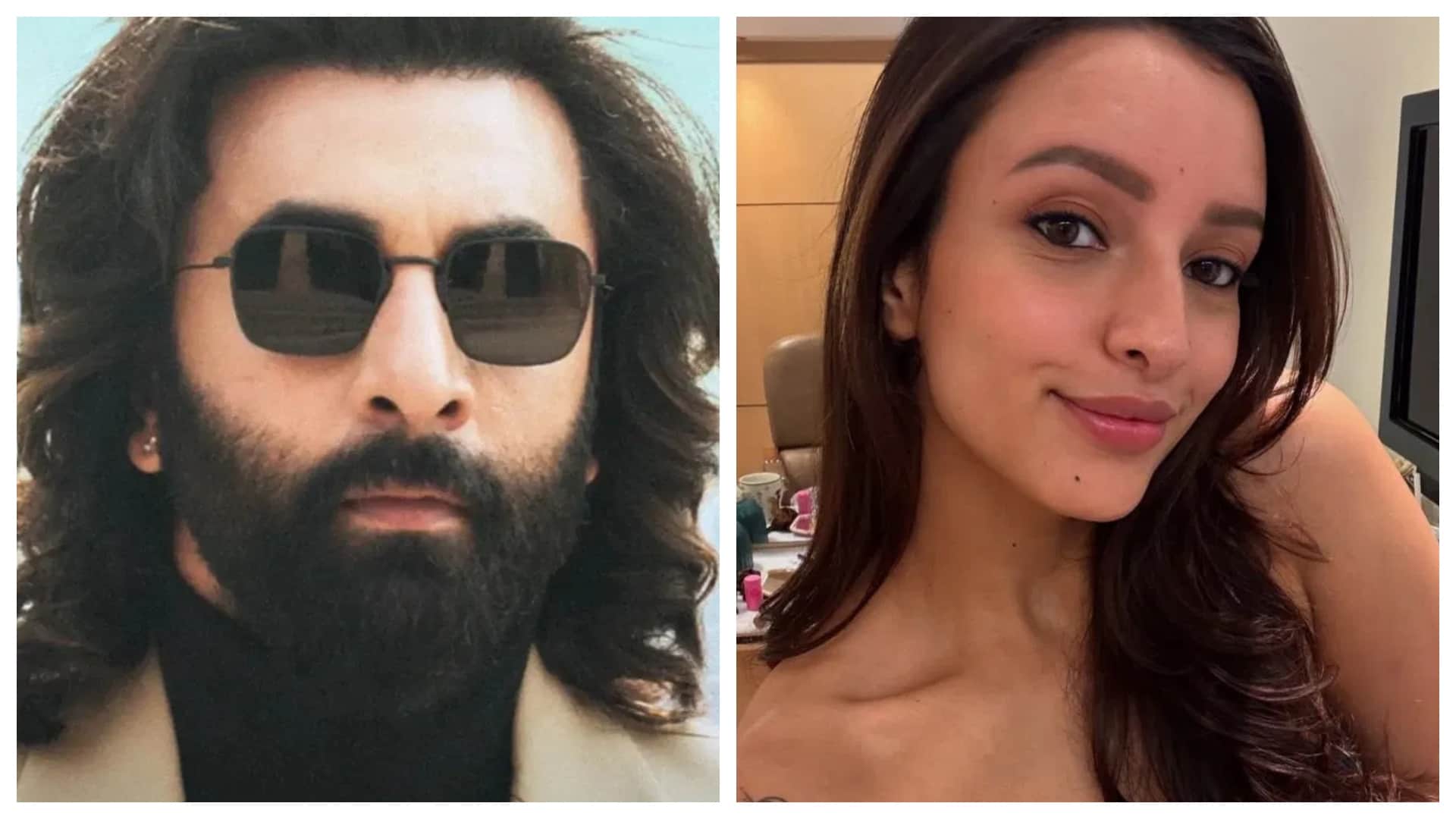 Triptii Dimri Upcoming Movies after O Romeo Spirit Animal Park Parveen Babi Biopic