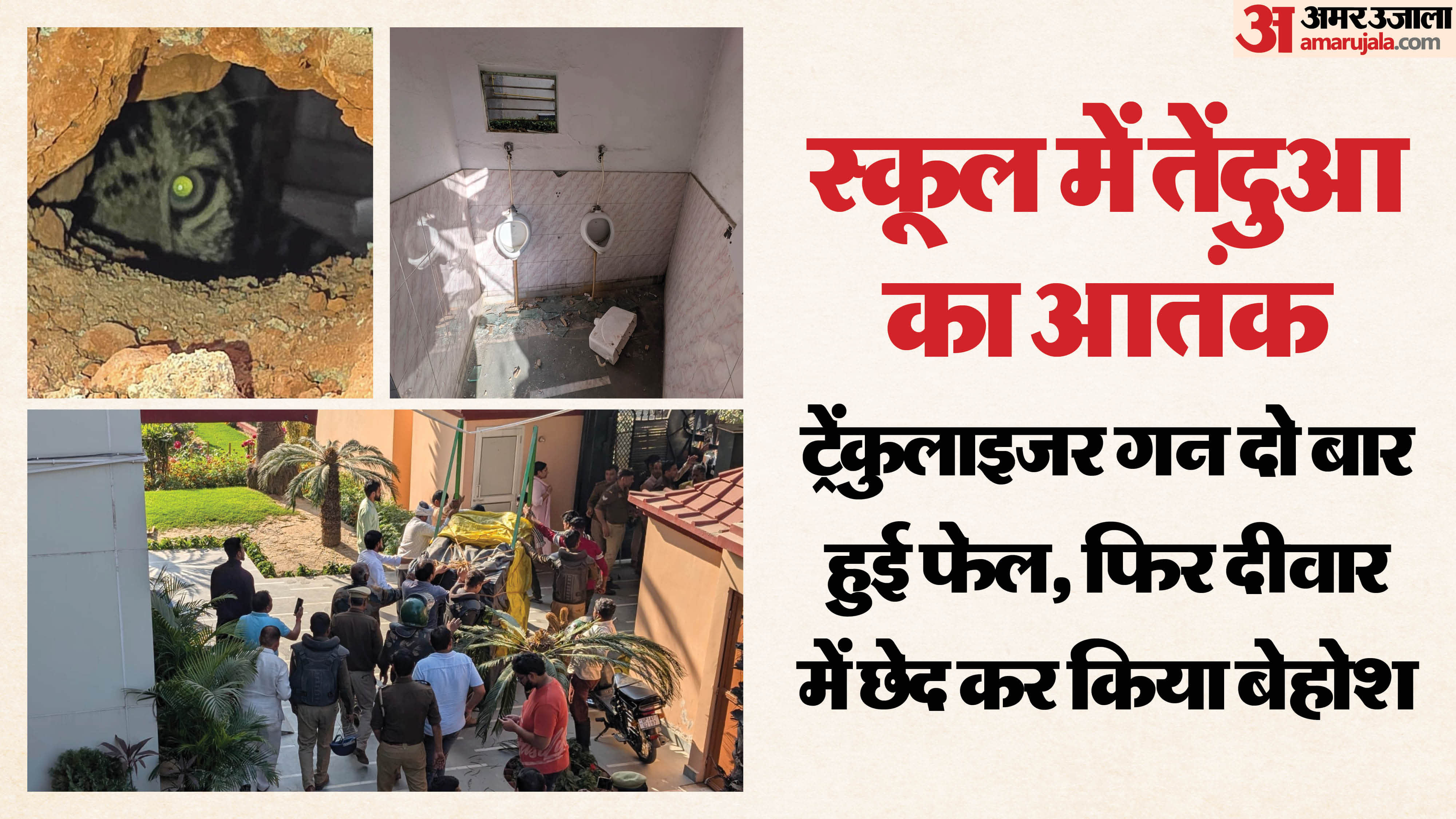 Leopard caught after six hour rescue operation