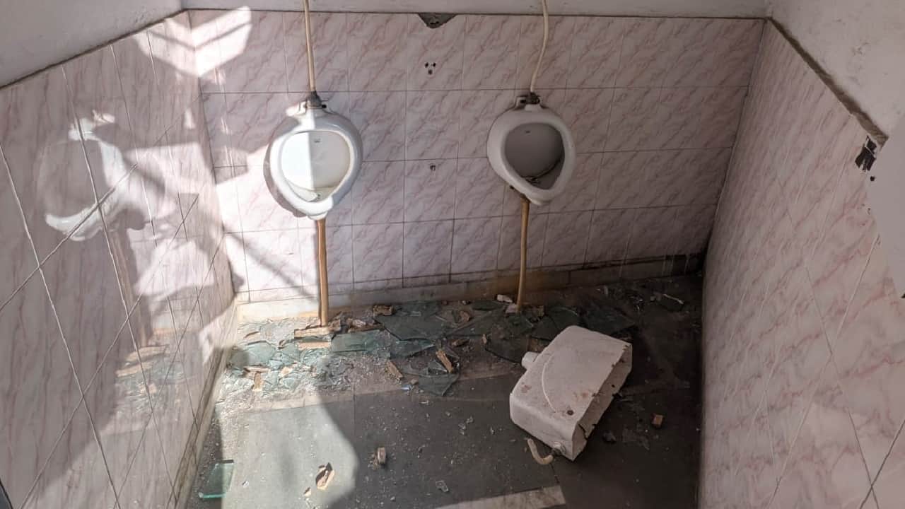 Leopard caught after six hour rescue operation