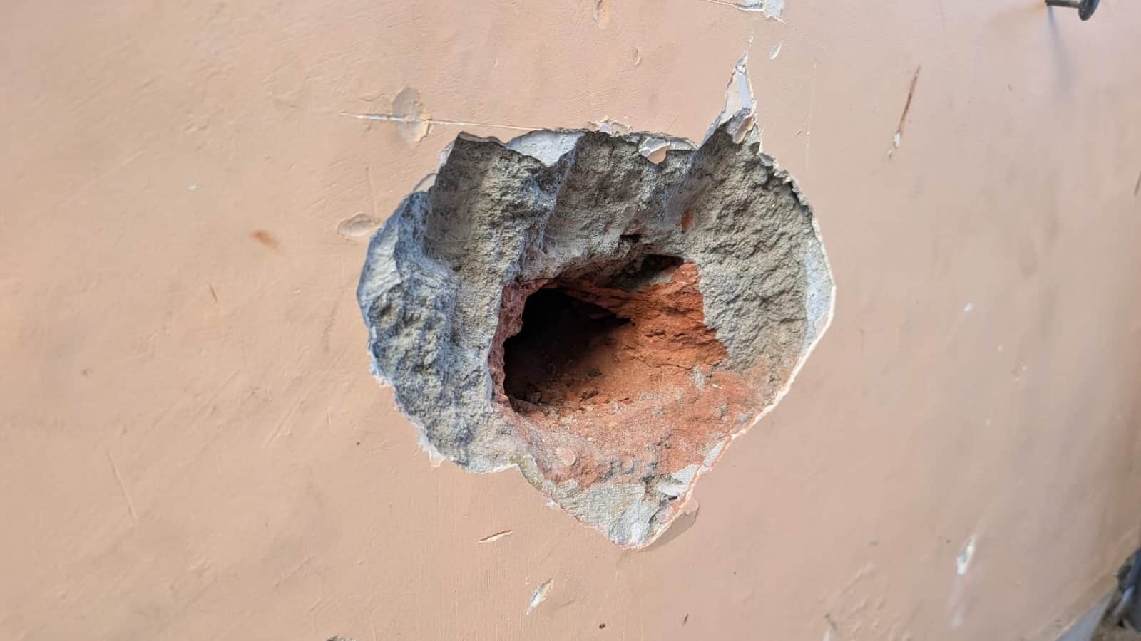 Leopard caught after six hour rescue operation