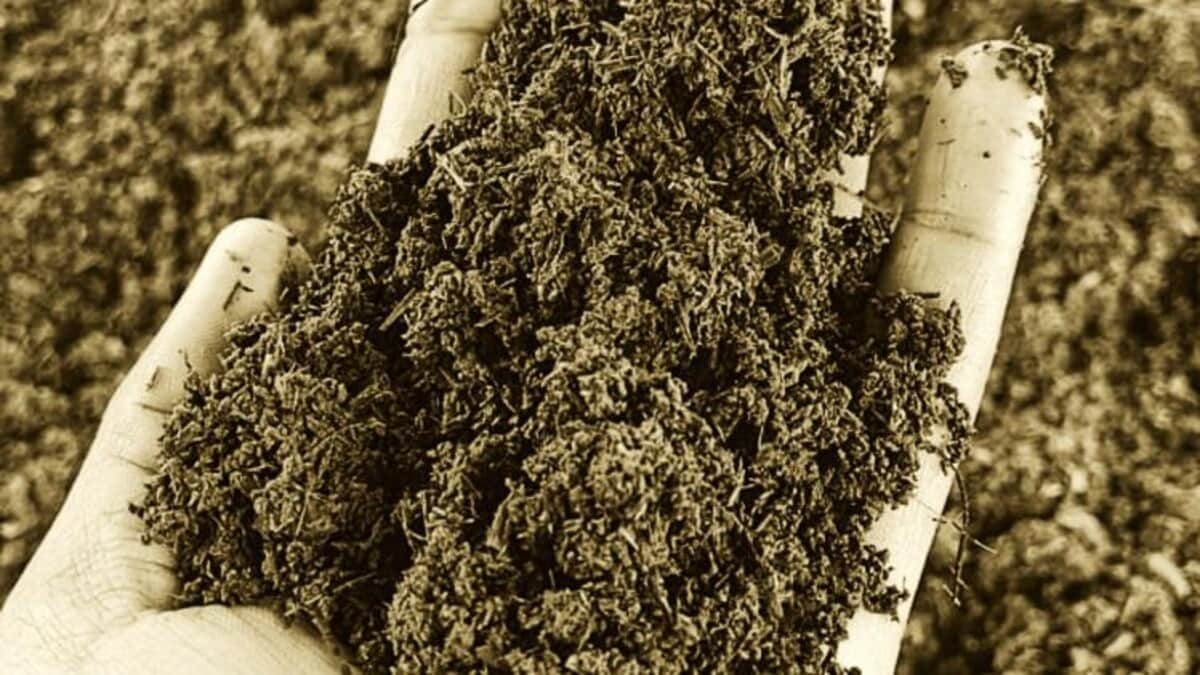 ग्लोबल वॉर्मिंग कर रही मिट्टी को खराब