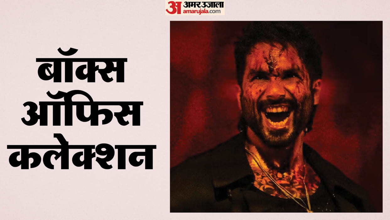 O Romeo Box Office Collection Day 13 shahid kapoor tripti dimri vishal bhardwaj romantic action film