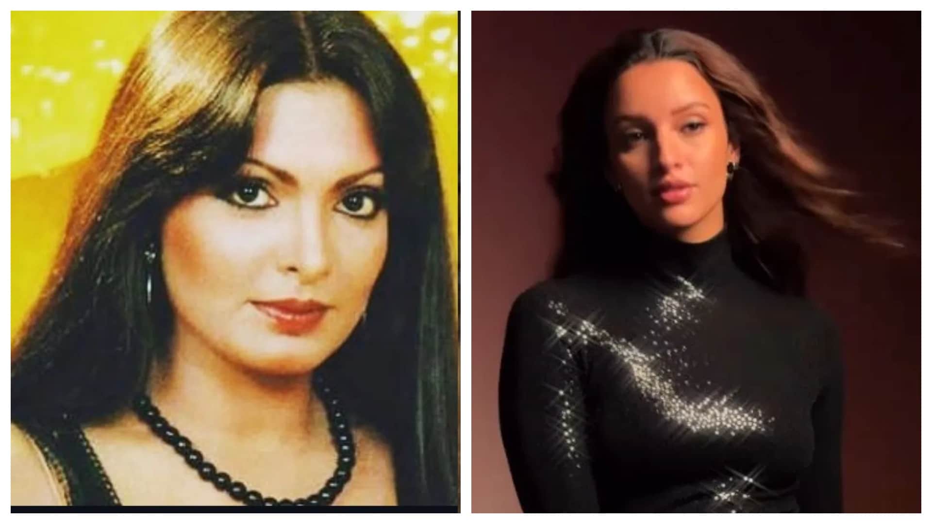 Triptii Dimri Upcoming Movies after O Romeo Spirit Animal Park Parveen Babi Biopic