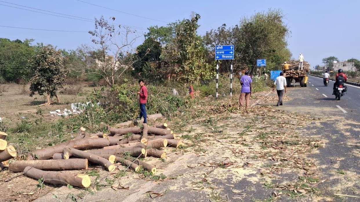 Jhansi: The forest department will cut down 278 trees for the flyover