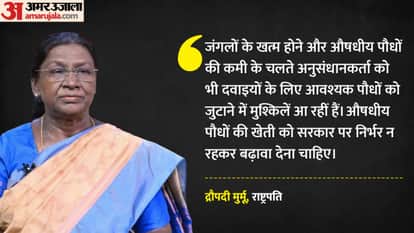 President Murmu bats for cultivation of medicinal plants to benefit farmers soil health News In Hindi