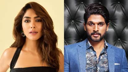 allu arjun shared instagram story for mrunal thakur on getting wishes for award