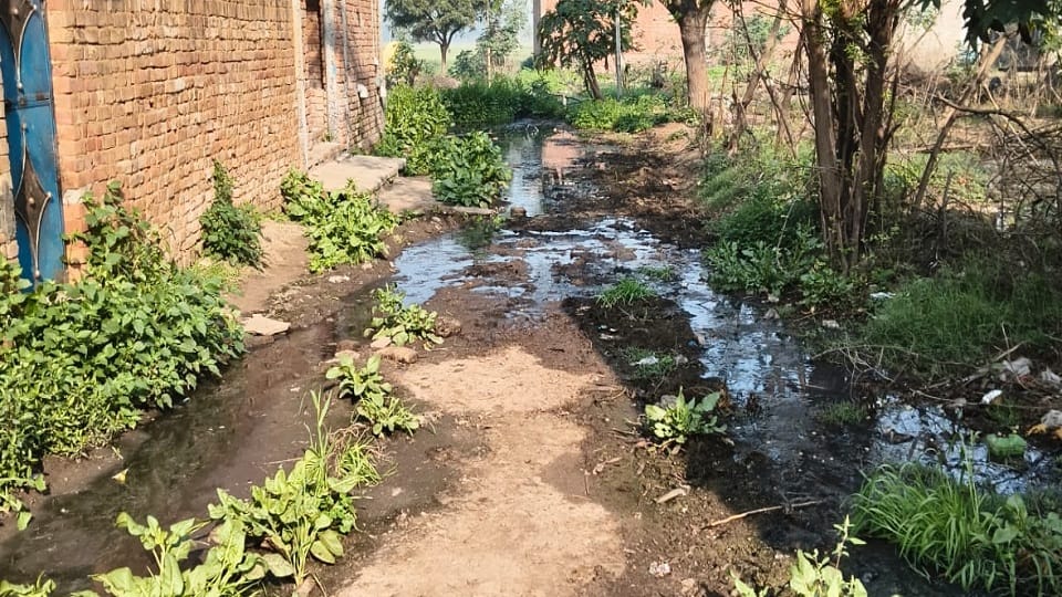 Mud on the way to the temple