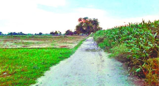 Agra Leather Park Stuck for 15 Years Amid Legal and Environmental Hurdles