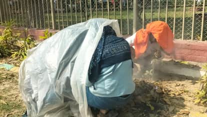 Bees chase foreign tourists in Kashi injuring several escape by hiding in shops and ruins in sarnath