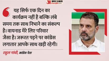 राहुल गांधी, कांग्रेस नेता