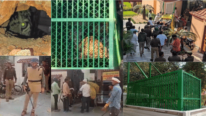 Full inside story of leopard rescued after nine hours in Green Field Public School in Ghaziabad