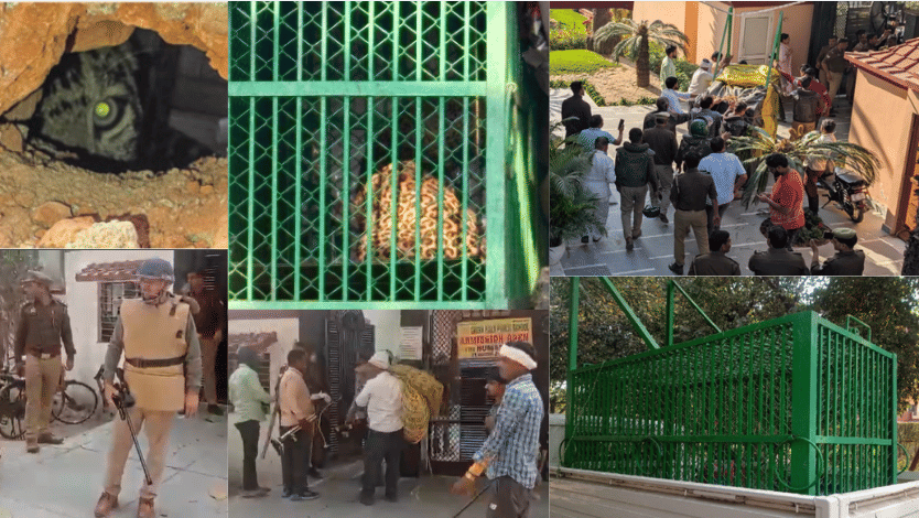 Full inside story of leopard rescued after nine hours in Green Field Public School in Ghaziabad
