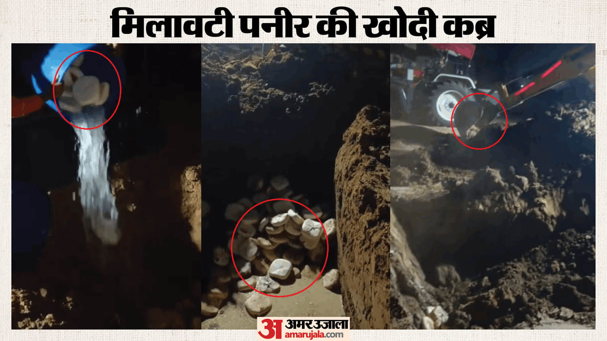 650 kg of adulterated cheese destroyed in Greater Noida before Holi