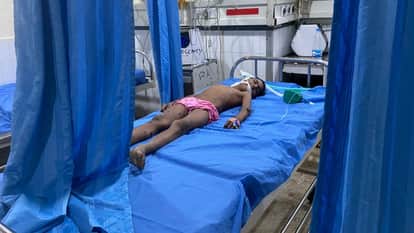 Eight-year-old boy mauled to death by stray dogs in Sultanpur Lodhi