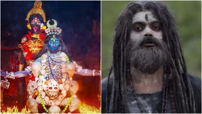 Charak Day 2 And The Kerala Story 2 Day 10 Collection Amid T20 World Cup Final Match