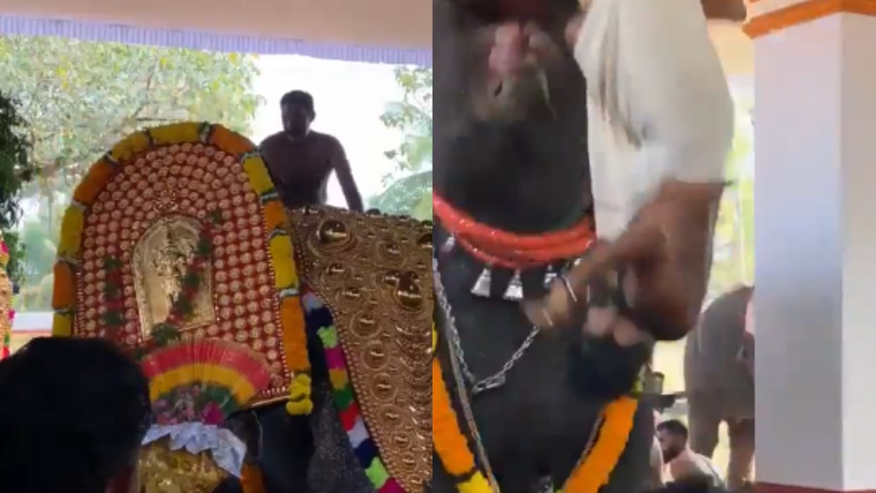 Elephant Attack Video thrissur an uncontrollable elephant shocking video viral