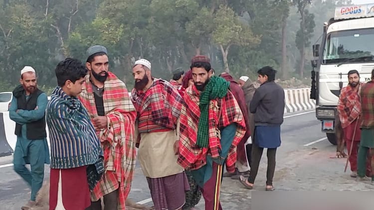 Vikasnagar: खनन डंपरों ने मवेशियों को रौंदा, पांच भैंसों की मौत, तीन भैंस और एक गाय गंभीर घायल