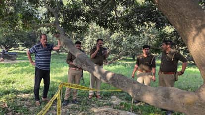 Farrukhabad Womans body found in mango orchard wearing red top and sweater efforts underway to identify her
