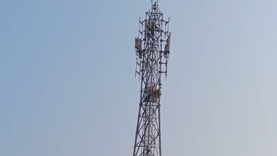 Girl climbs mobile tower to marry her lover