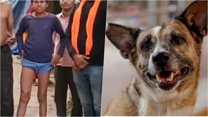 Baran News: Stray Dog Menace in Anta, Children Targeted, Residents Demand Immediate Action