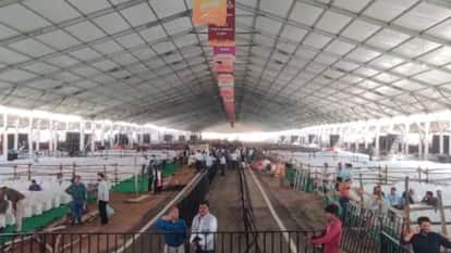 PM Modi will give gift of Rs 16,686 crore to Rajasthan today see preparations for  program in pictures