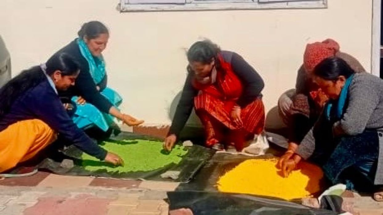 Gulal made from carrots, spinach and beetroot will be flown during Holi.