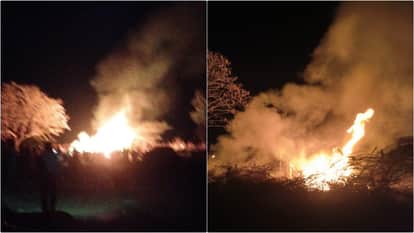 Didwana News: 15 sheep and goats burned alive in massive fire, 20 seriously injured; Losses worth lakhs