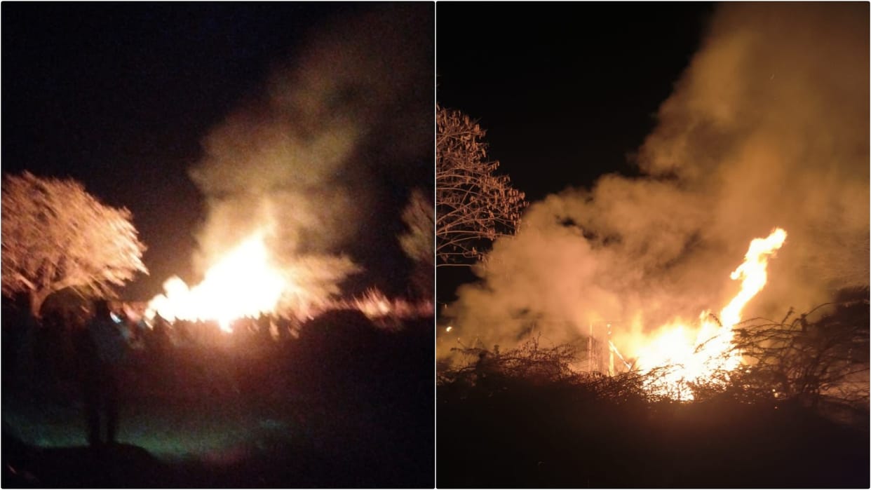 Didwana News: 15 sheep and goats burned alive in massive fire, 20 seriously injured; Losses worth lakhs
