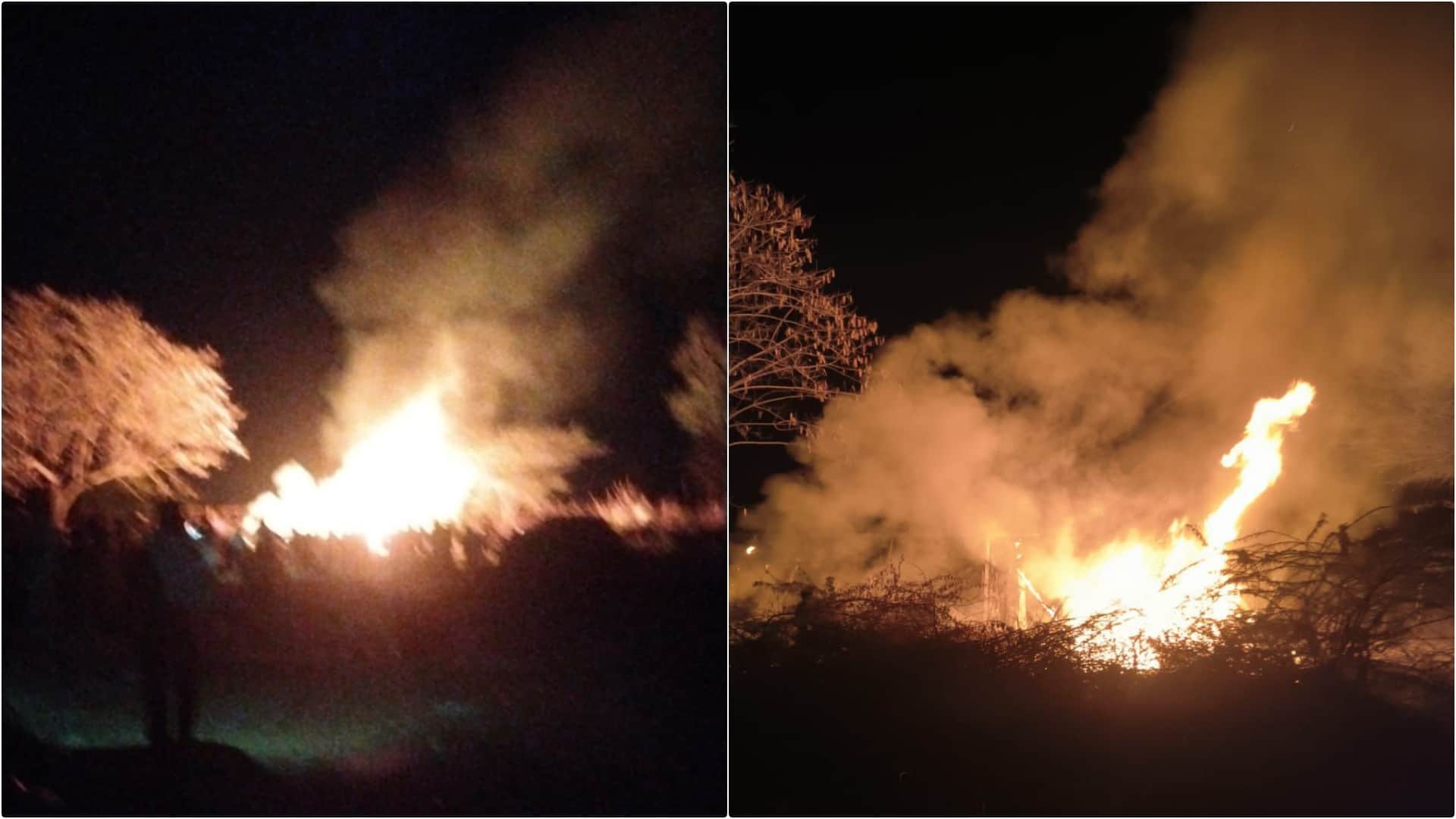 डीडवाना में भीषण आग से जिंदा जलीं 15 भेड़-बकरियां