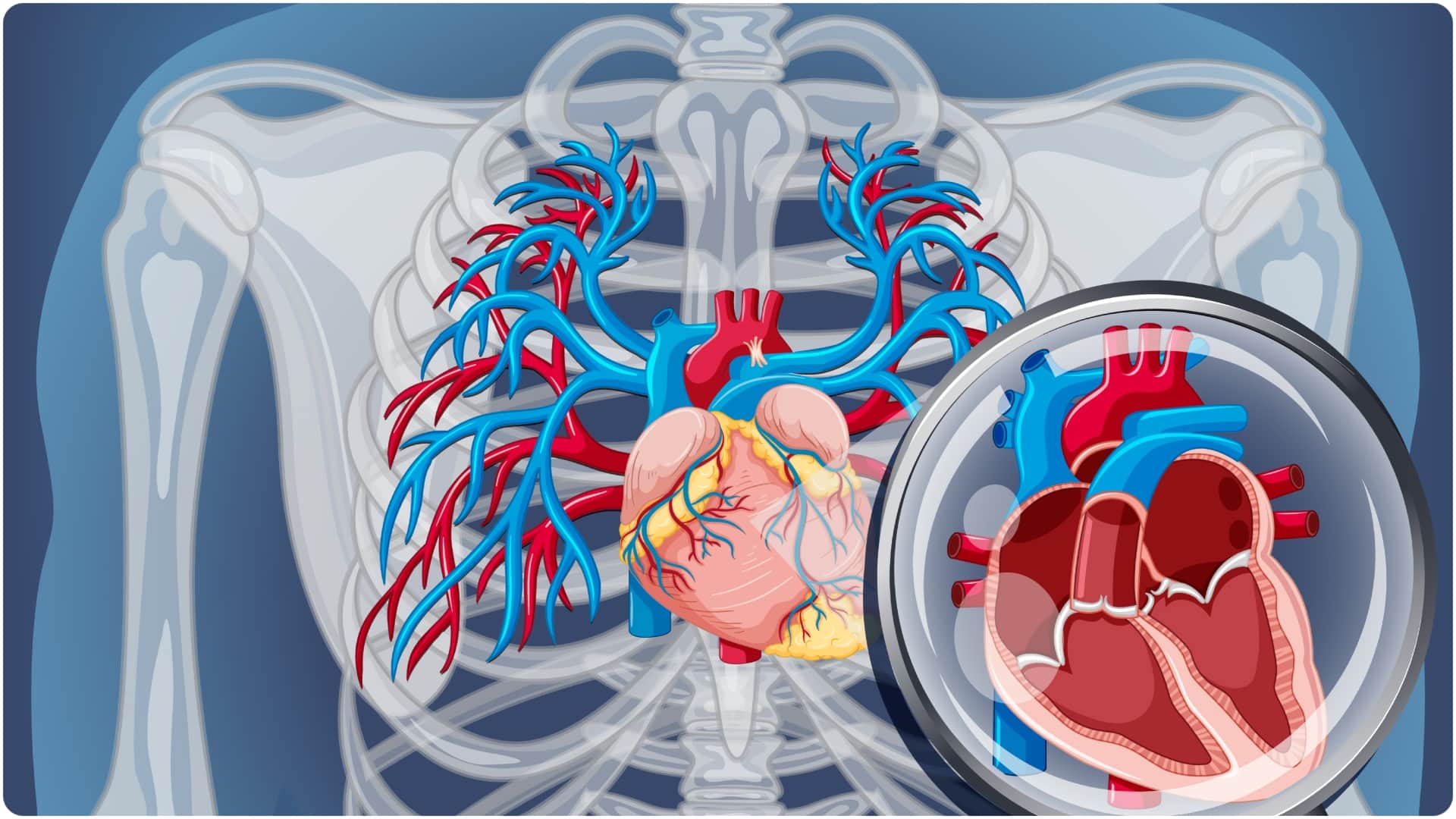 angioplasty and angiography difference tests for heart blockage and heart attack