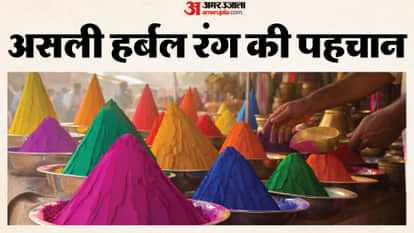 Herbal Vs Chemical Holi Colors Identify Milawati Rang Ki Pehchan Kaise Karen