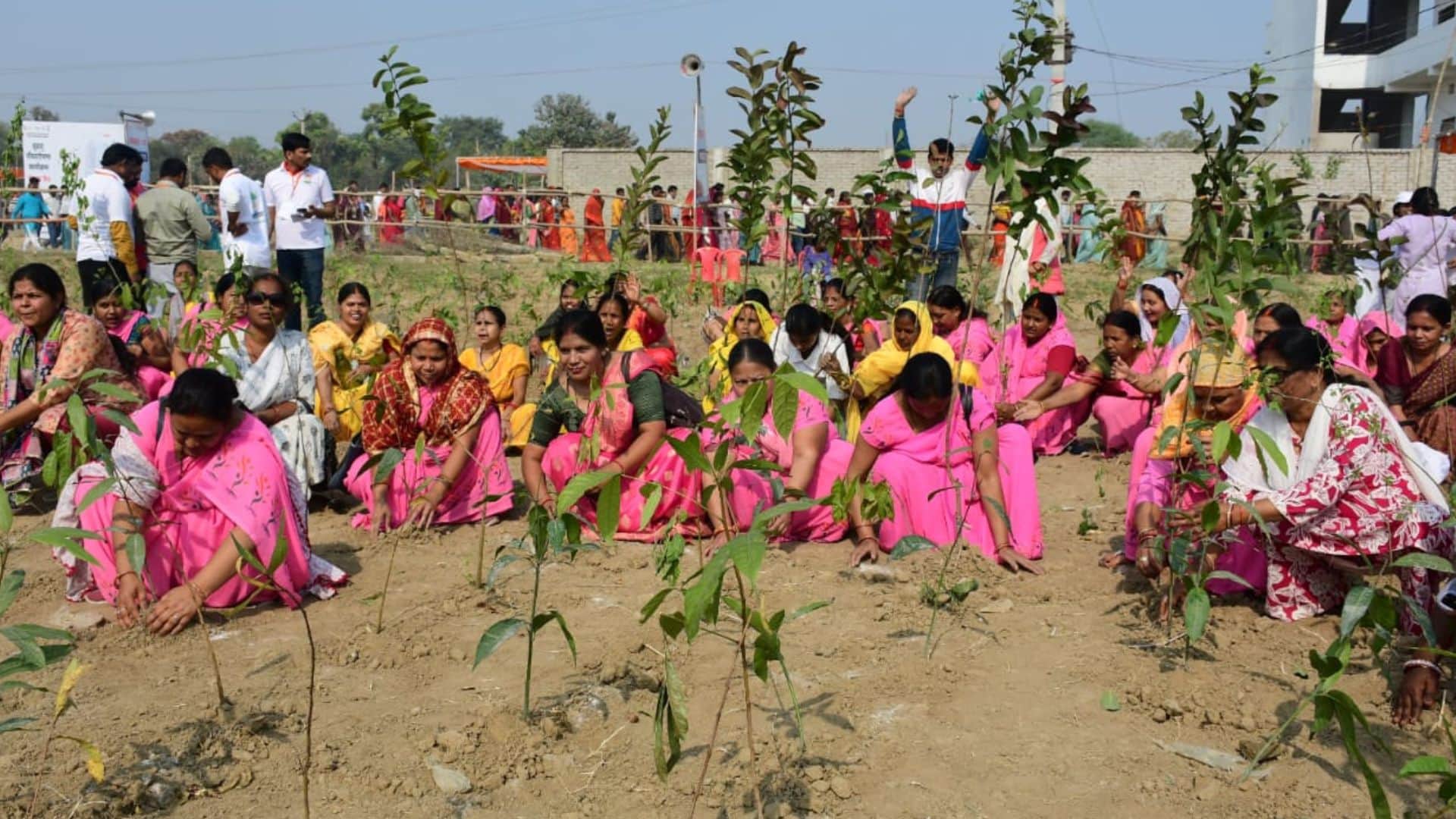 Plantation in Kashi Urban forest on 350 bighas of land special irrigation for 45 minutes three times week