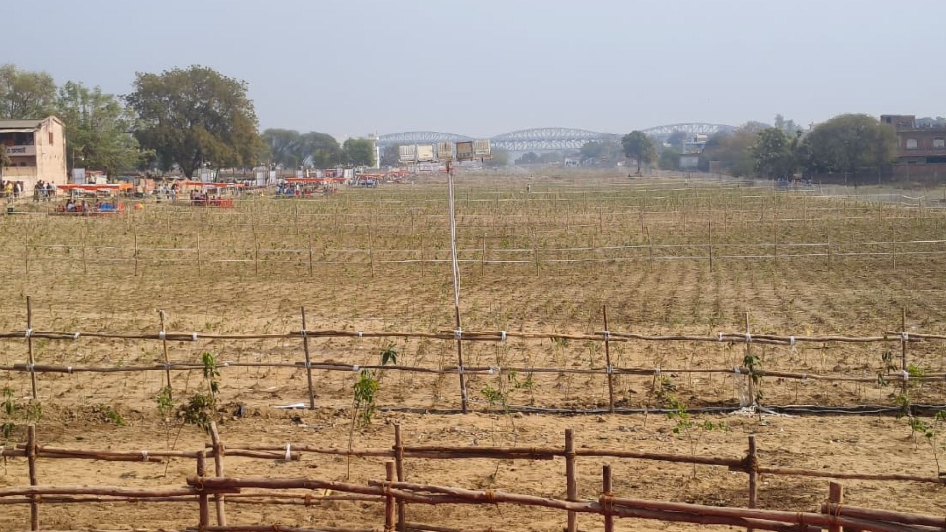 Plantation in Kashi Urban forest on 350 bighas of land special irrigation for 45 minutes three times week