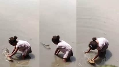 Girl was seen petting a crocodile in the river stuns social media people video goes viral