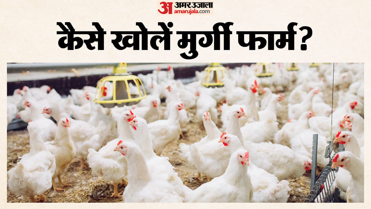 How much does it cost to open a poultry farm and how much does it earn