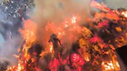 Sanju Panda Walks Through Blazing Holika Fire Unharmed