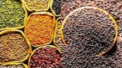 Total acreage under summer crops decreased but sowing area under pulses and oilseeds increased