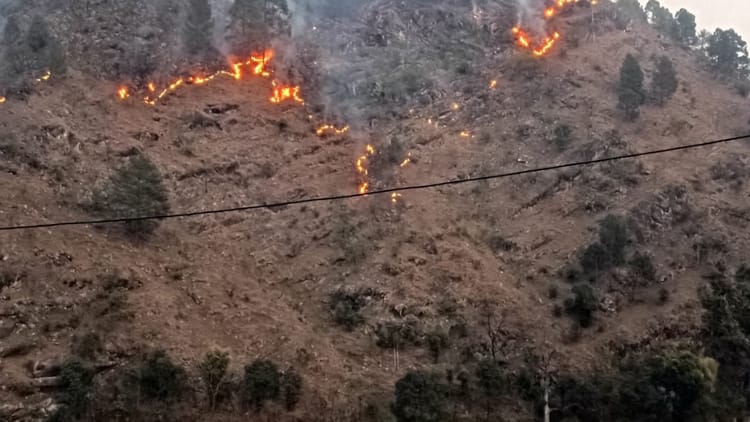Uttarakhand: चमोली के जंगलों में आग लगने का सिलसिला नहीं थम रहा, दिनभर धधक रहे, महिलाएं बुझाने में जुटी