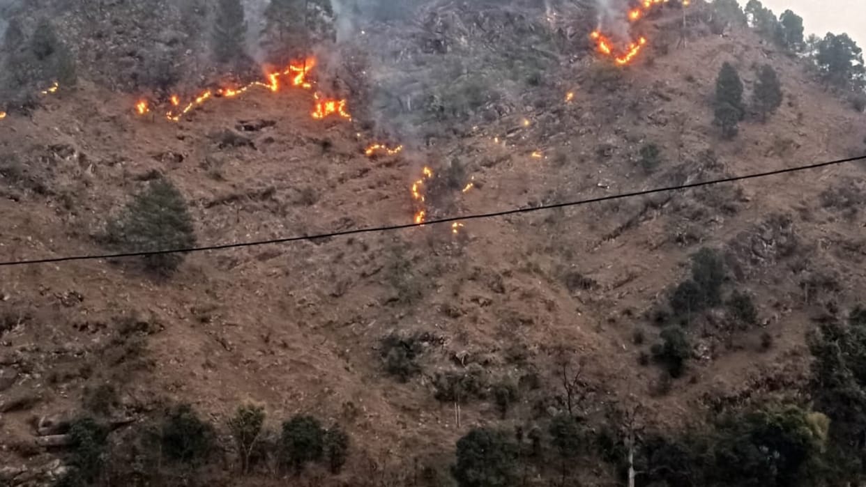 Forest Fires Focus to Remain on Less Sensitive Areas as Well Uttarakhand news in hindi