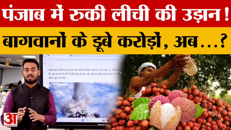 Pathankot Litchi: ईरान-इस्राइल जंग ने कैसे रोका Litchi निर्यात? | Litchi Export 2026