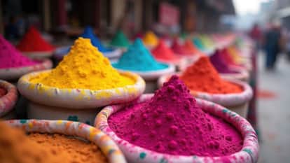 Use herbal colors instead of chemical colors on Holi