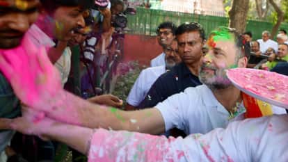 Political leaders Holi congress aam admi party play gulal colour arvind kejriwal Rahul Gandhi celebration